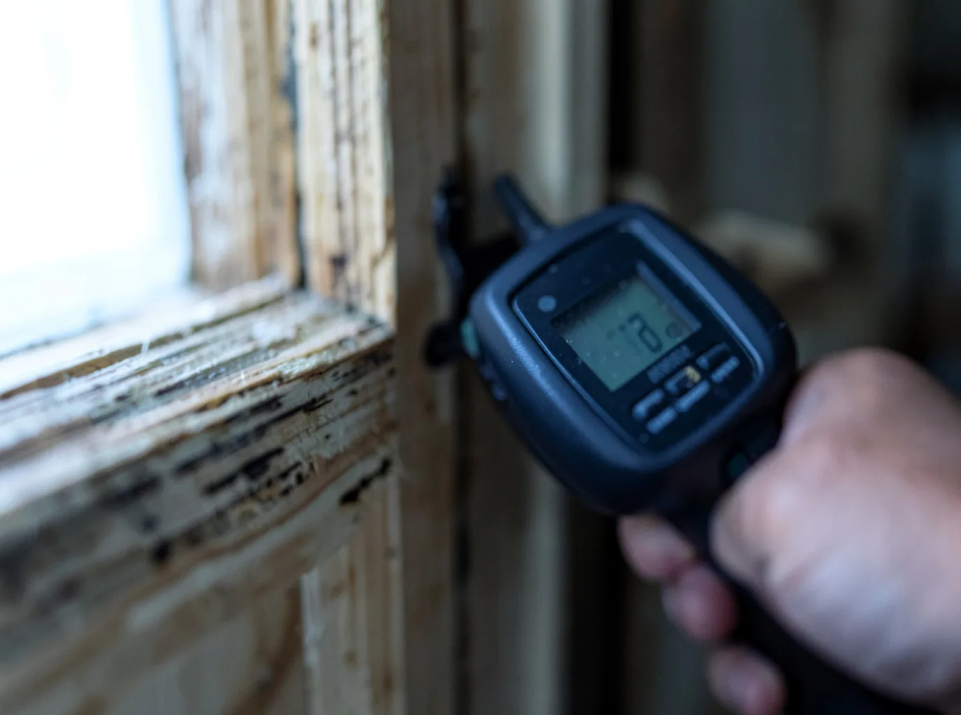 Ceiling Water Damage Repair in Zwolle, LA